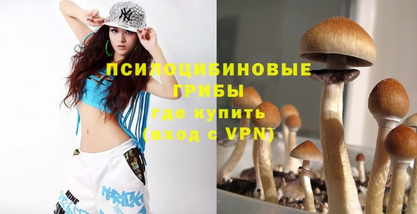 таблы Новозыбков