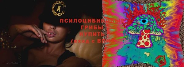 ГАЛЛЮЦИНОГЕННЫЕ ГРИБЫ Нефтекумск