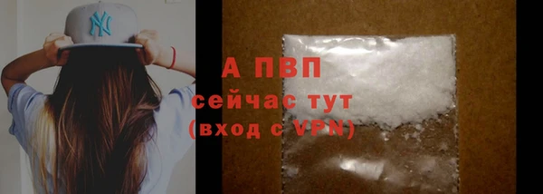 сатива Няндома