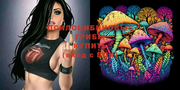 мет Новодвинск