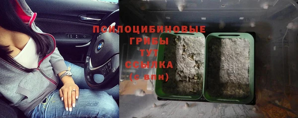 СК Нея