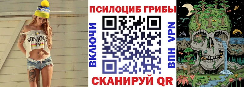 закладки  Миньяр  Псилоцибиновые грибы прущие грибы 