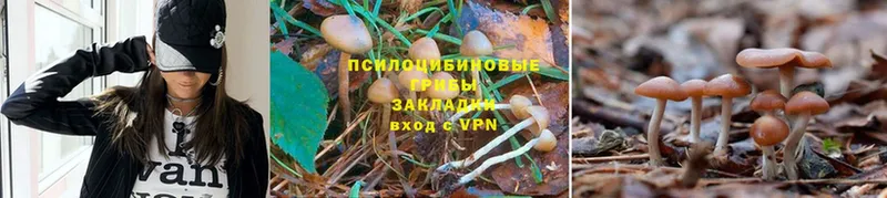 Псилоцибиновые грибы Magic Shrooms  hydra как зайти  Миньяр 