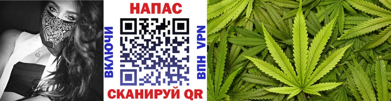 наркошоп Миньяр Шишки марихуана OG Kush